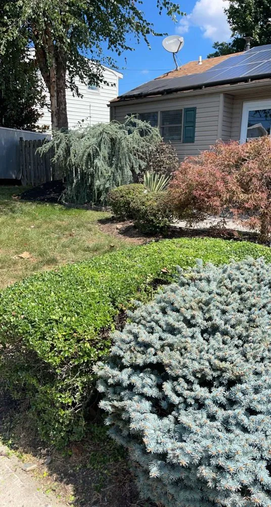 Trusted lawn care service in Old Bridge, NJ - Dechert Landscape