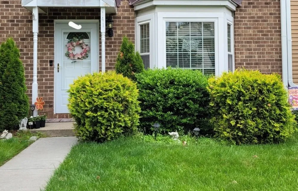 Top-rated outdoor landscaping in Old Bridge, NJ - Dechert Landscape