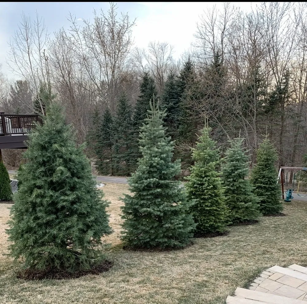 Custom lawn mowing service in Bloomfield Hills, MI - Deckd Out Landscape Design