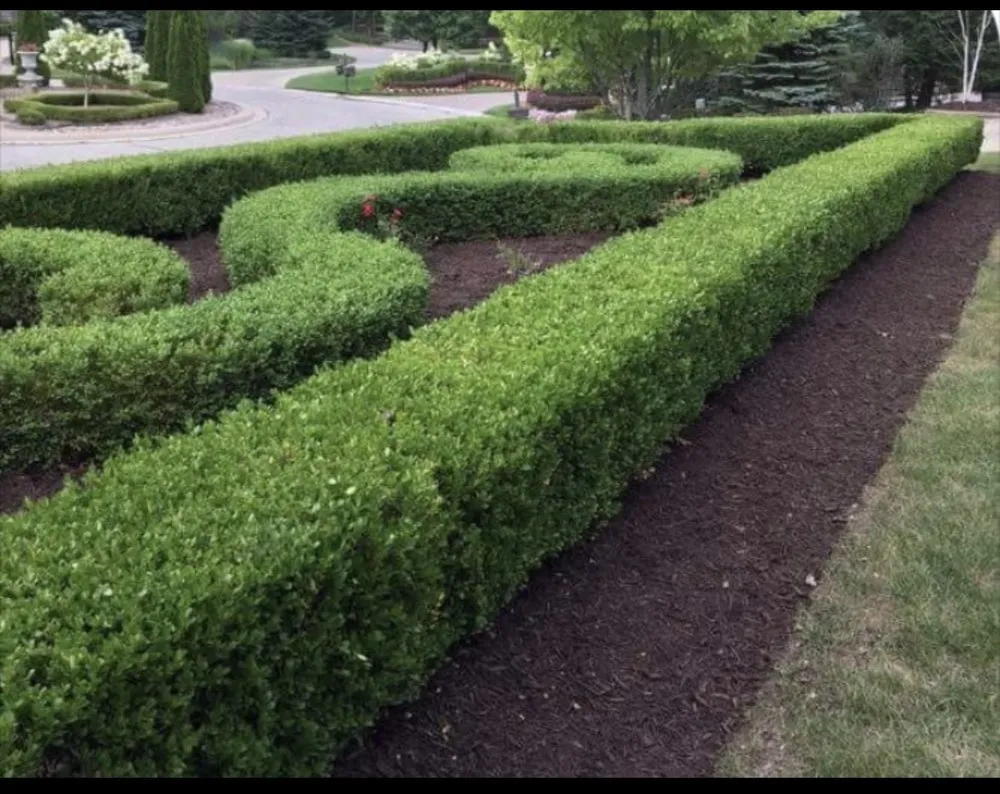 Reliable residential landscaping near you across Bloomfield Hills, MI - Deckd Out Landscape Design