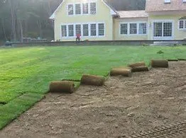 Local lawn mowing service experts serving Curran, IL - Decked Out Landscaping