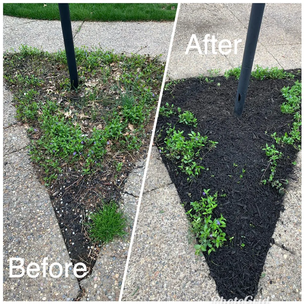 Custom landscape installation for homes in Louisville, KY by Decker And Sons Landscaping