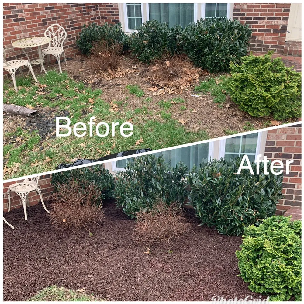 Reliable yard cleanup service experts serving Louisville, KY - Decker And Sons Landscaping