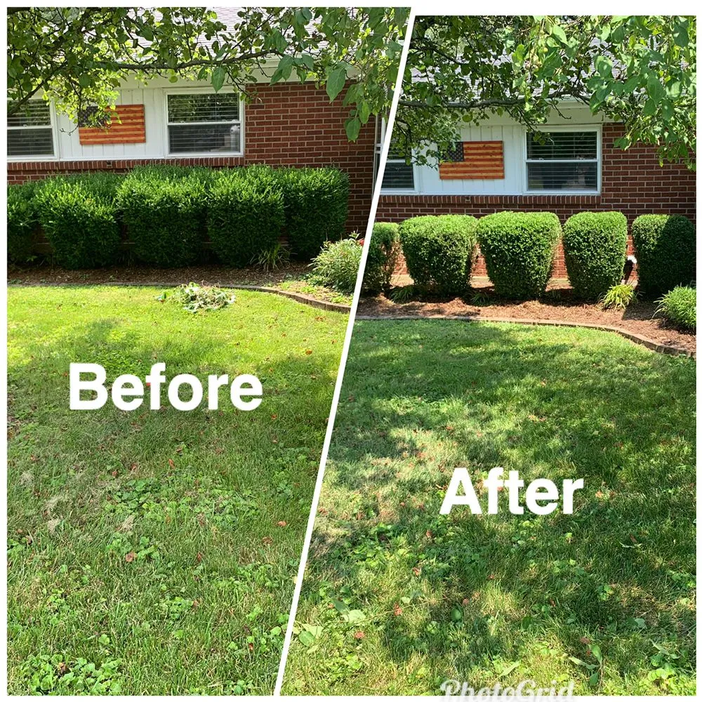Custom yard cleanup service experts serving Louisville, KY - Decker And Sons Landscaping