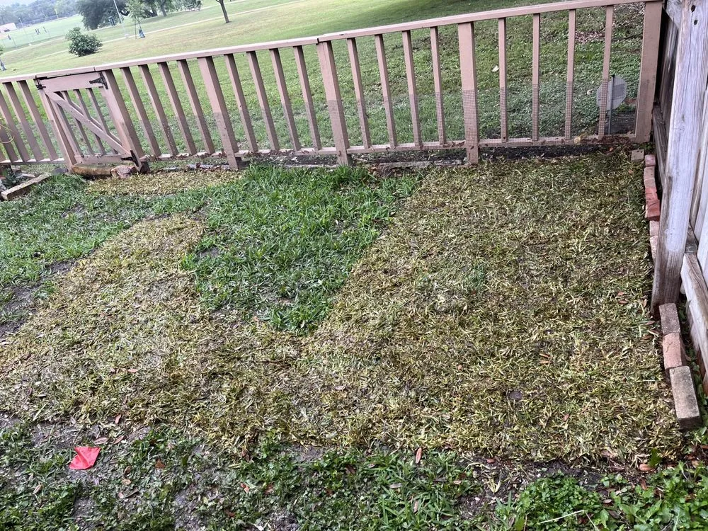 Expert landscape design for year-round maintenance across San Antonio, TX - Deckers Lawn and More