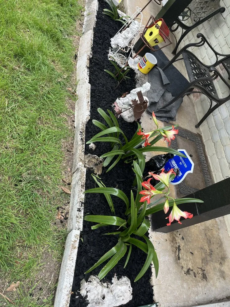 Top-rated landscape design in San Antonio, TX by Deckers Lawn and More