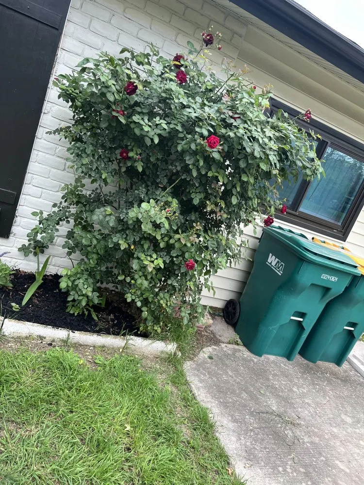 Affordable residential landscaping experts serving San Antonio, TX - Deckers Lawn and More