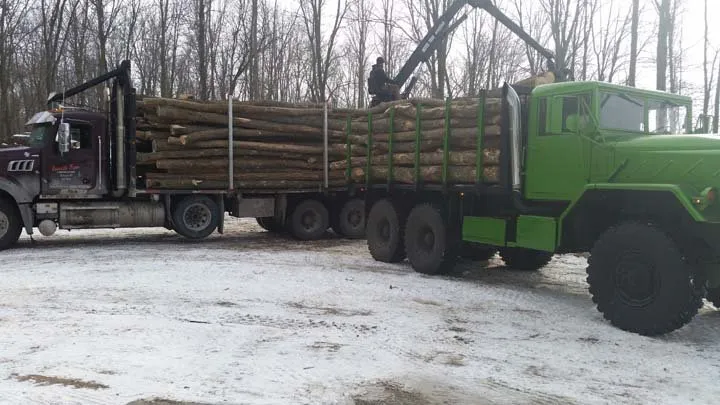 Custom outdoor landscaping for outdoor upgrades in Port Washington, WI by Deckers Services