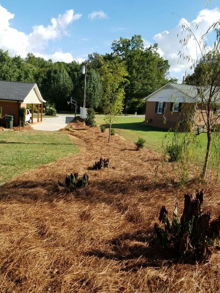 Top-rated yard maintenance with custom design across Landis, NC - Decks, Docks & Walls