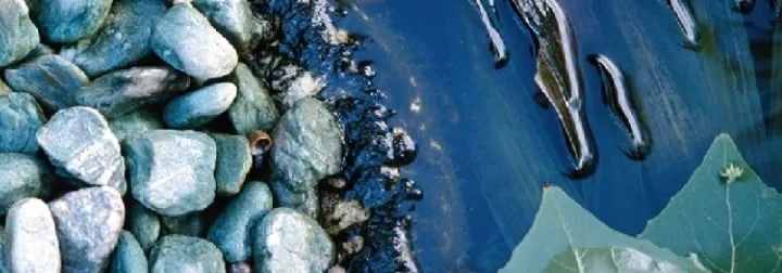 Reliable yard cleanup service for homes in Ambler, PA by Deck's Landscaping, Inc