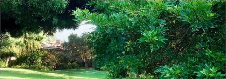 Trusted yard maintenance in Ambler, PA by Deck's Landscaping, Inc