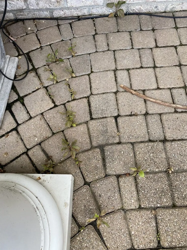 Custom residential landscaping for beautiful yards across Bruce Twp, MI - DeClark's Landscaping