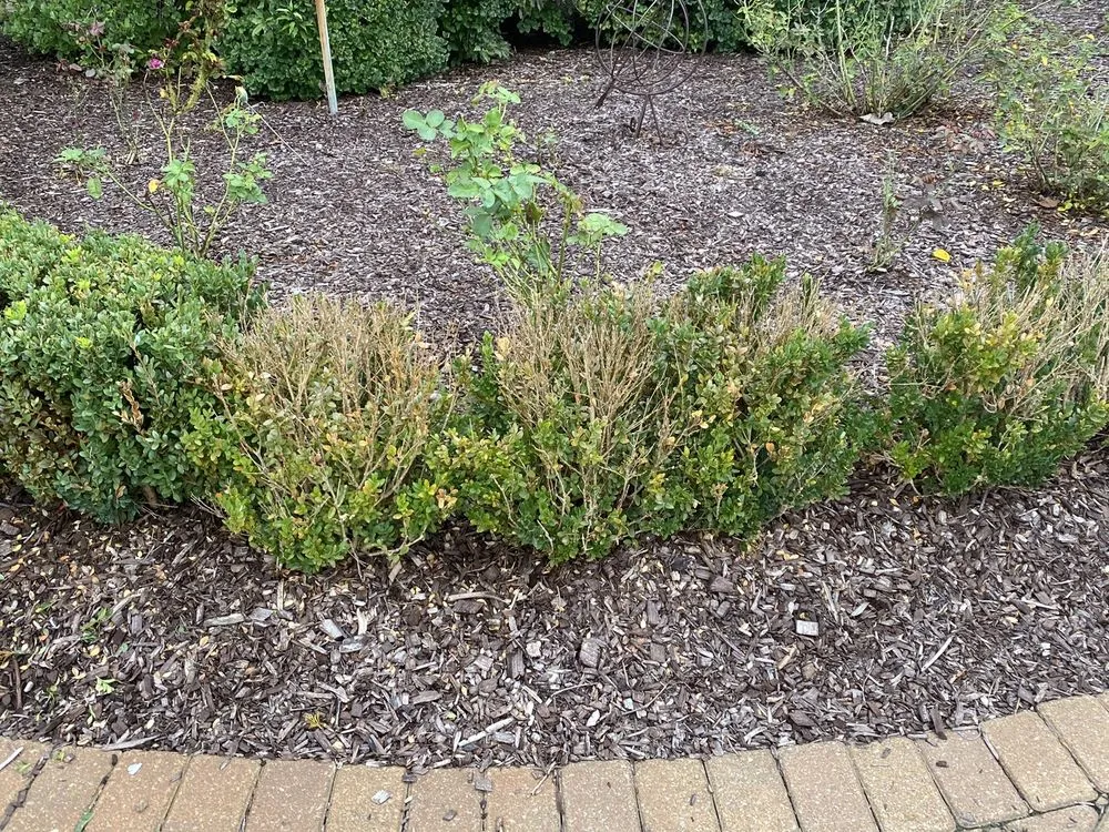 Reliable residential landscaping in Bruce Twp, MI by DeClark's Landscaping