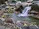 Reliable yard maintenance for beautiful yards across Bruce Twp, MI - DeClark's Landscaping