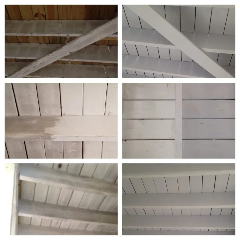 Expert yard cleanup service in Chattanooga, TN by Declue Services