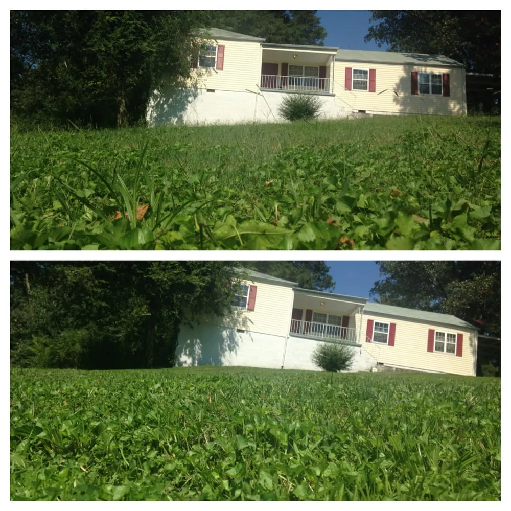 Top-rated yard maintenance experts serving Chattanooga, TN - Declue Services