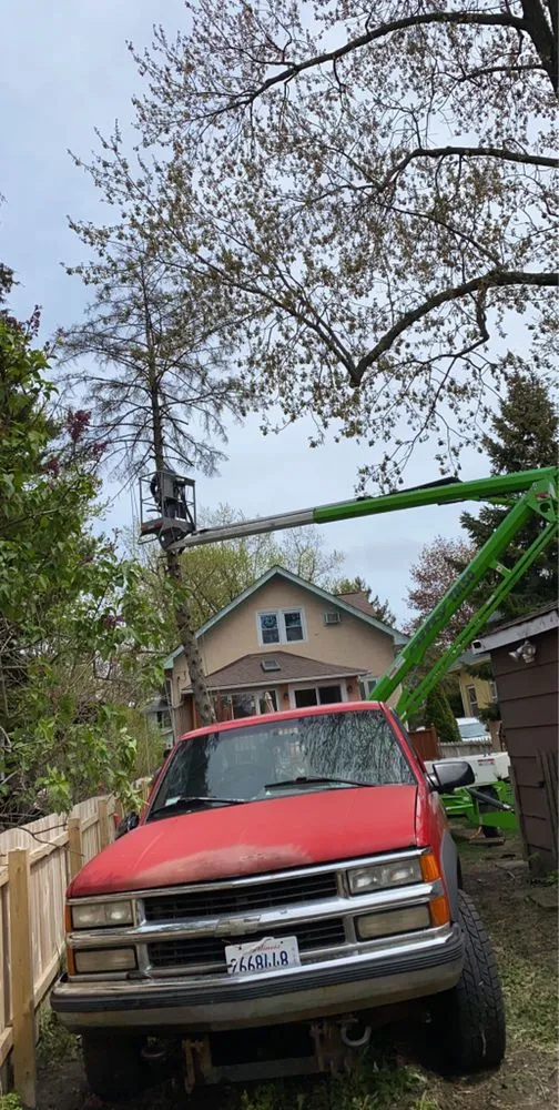 Local lawn care service for beautiful yards across Chicago, IL - Decogarden Landscaping 1