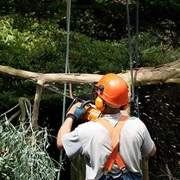 Reliable landscape design for outdoor upgrades across Saint Charles, IL - Decoration Landscaping