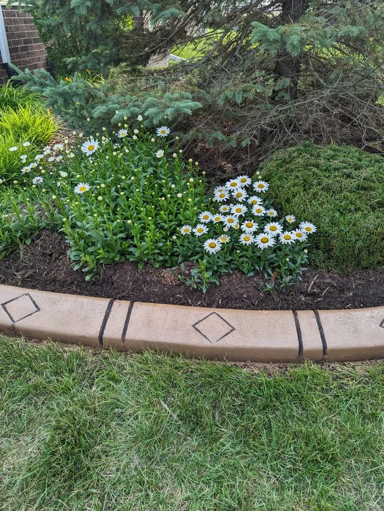 Expert residential landscaping near you in Jackson, MI by Decorative Curbing
