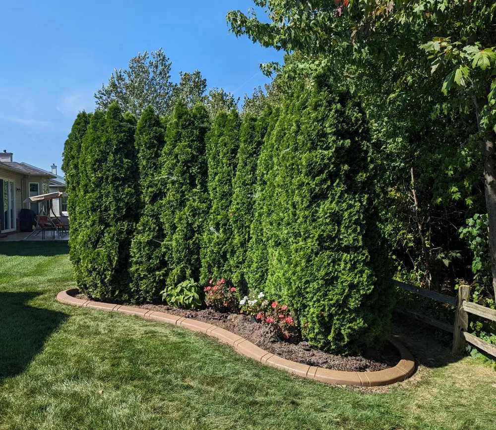 Reliable yard maintenance for beautiful yards across Jackson, MI - Decorative Curbing