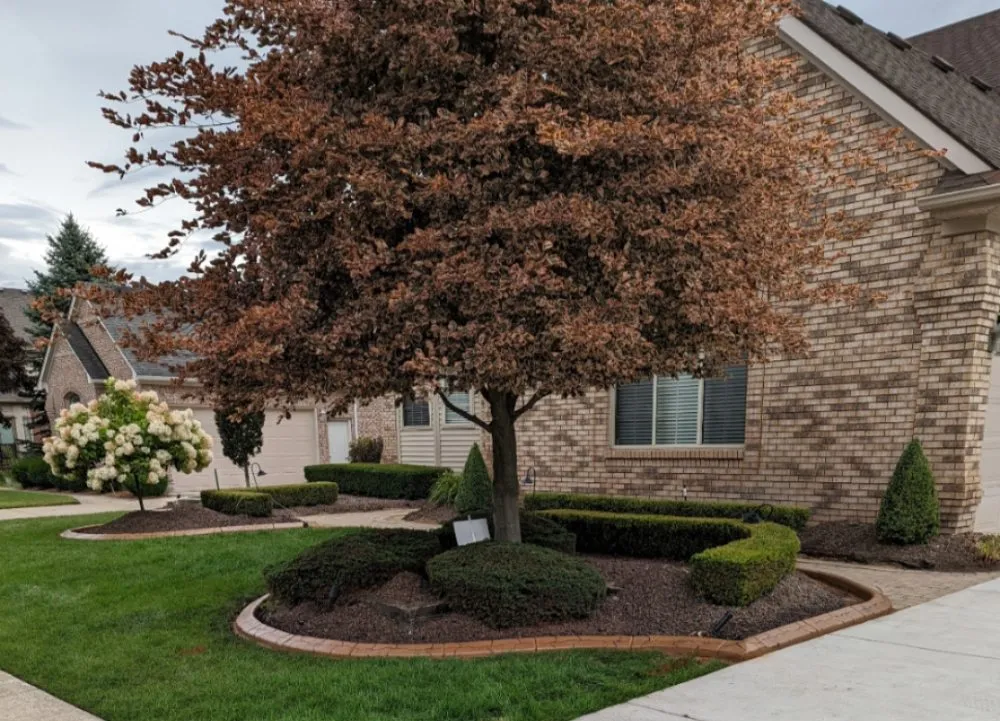 Expert landscape installation for year-round maintenance across Jackson, MI - Decorative Curbing