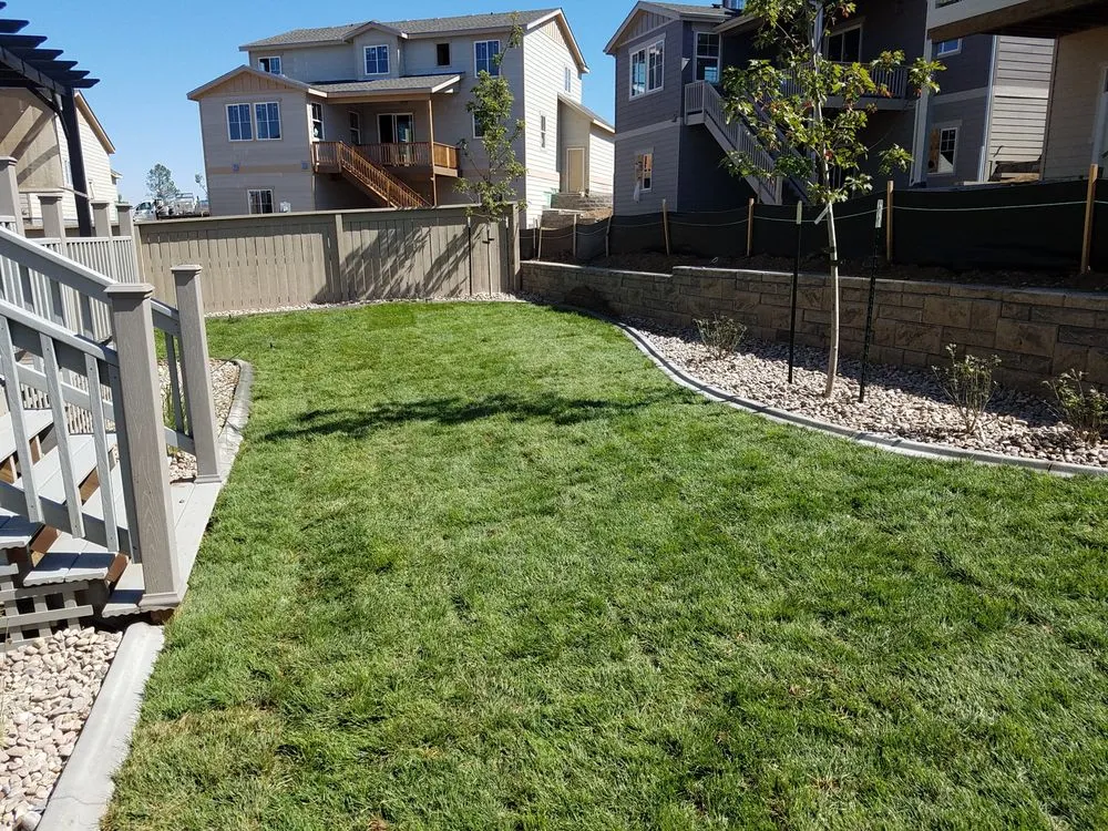 Custom yard cleanup service for outdoor upgrades across Golden, CO - Decorative Landscape Borders