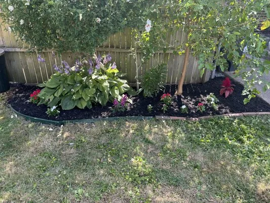 Decorative Yard Care Landscaping