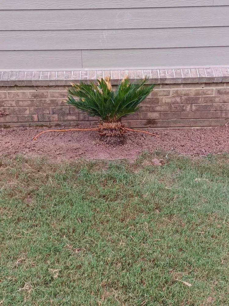 Local outdoor landscaping experts serving Covington, GA - Decosse Landscaping