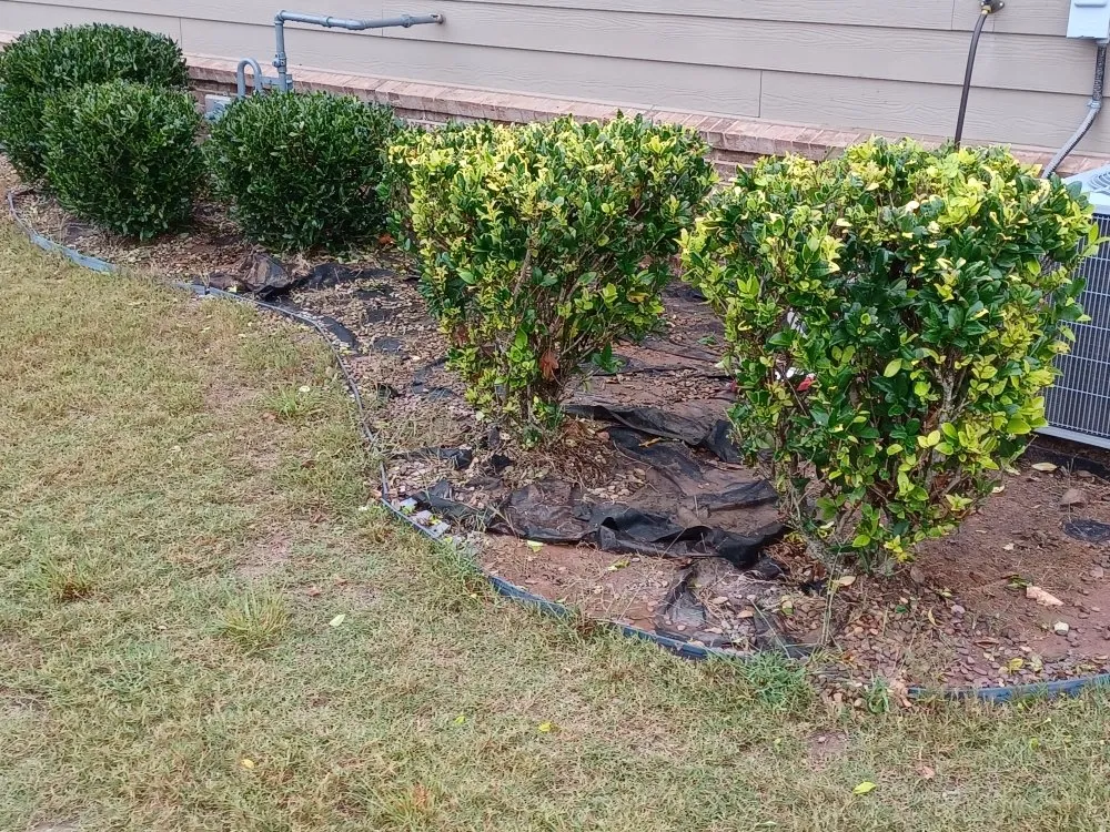 Local lawn care service in Covington, GA by Decosse Landscaping