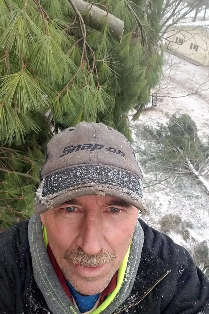 Professional garden landscaping in Janesville, WI by Ded Tree