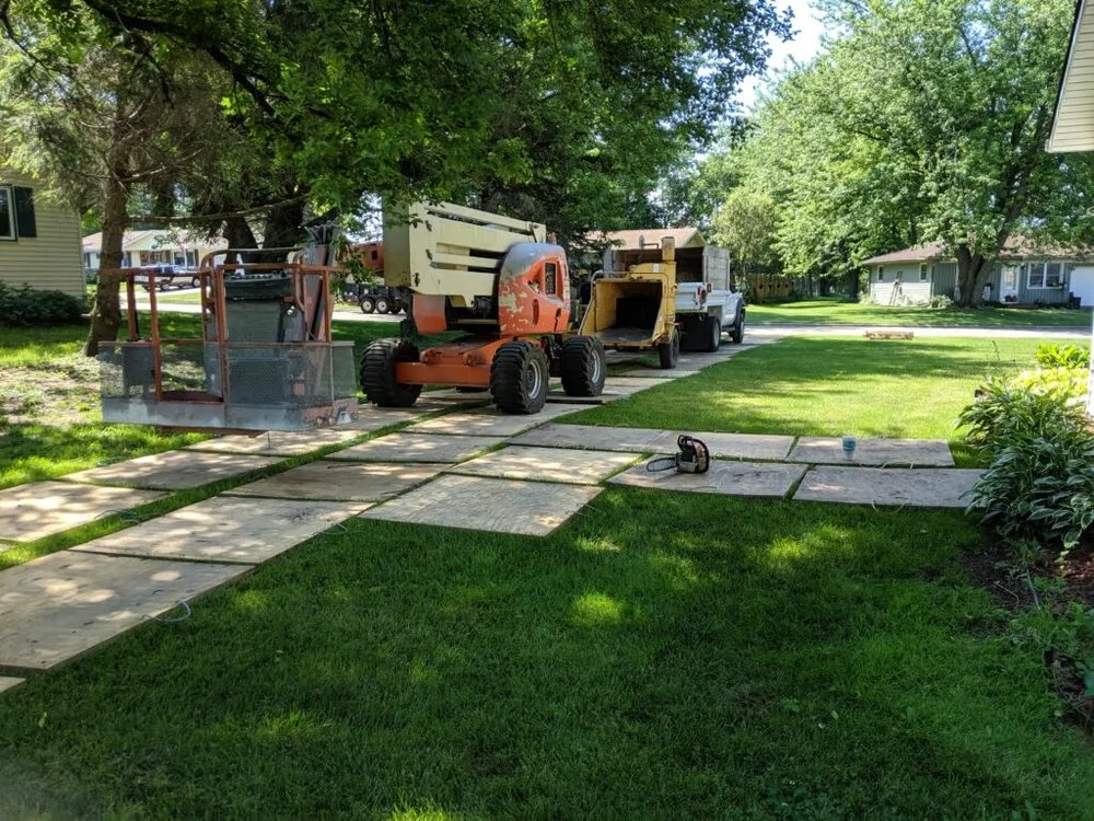 Top-rated landscaping services in Janesville, WI - Ded Tree