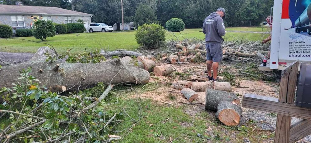 Expert landscaping services for beautiful yards in Columbia, SC by Dedicated Home And Lawn