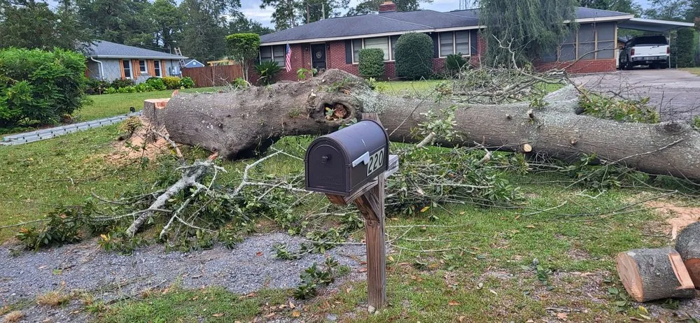 Custom yard cleanup service in Columbia, SC by Dedicated Home And Lawn