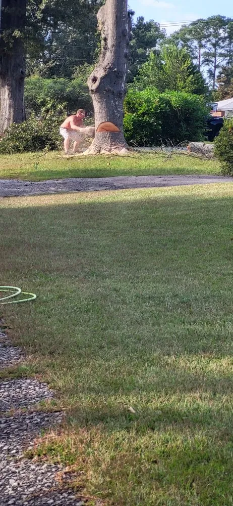 Top-rated garden landscaping for homes in Columbia, SC by Dedicated Home And Lawn