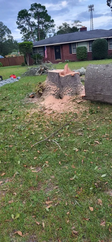 Trusted landscaping services for year-round maintenance across Columbia, SC - Dedicated Home And Lawn