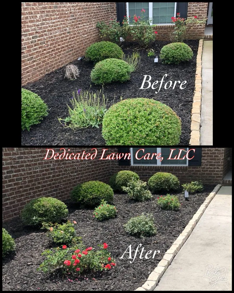 Affordable lawn care service experts serving Rincon, GA - Dedicated Lawn Care
