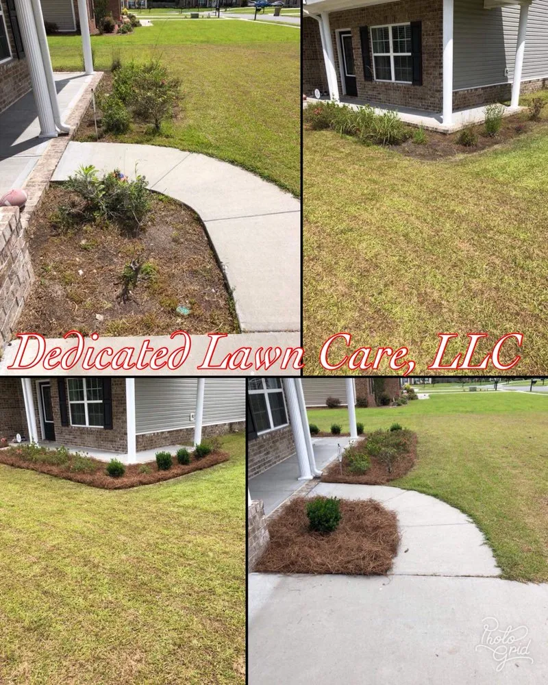 Affordable lawn care service in Rincon, GA - Dedicated Lawn Care