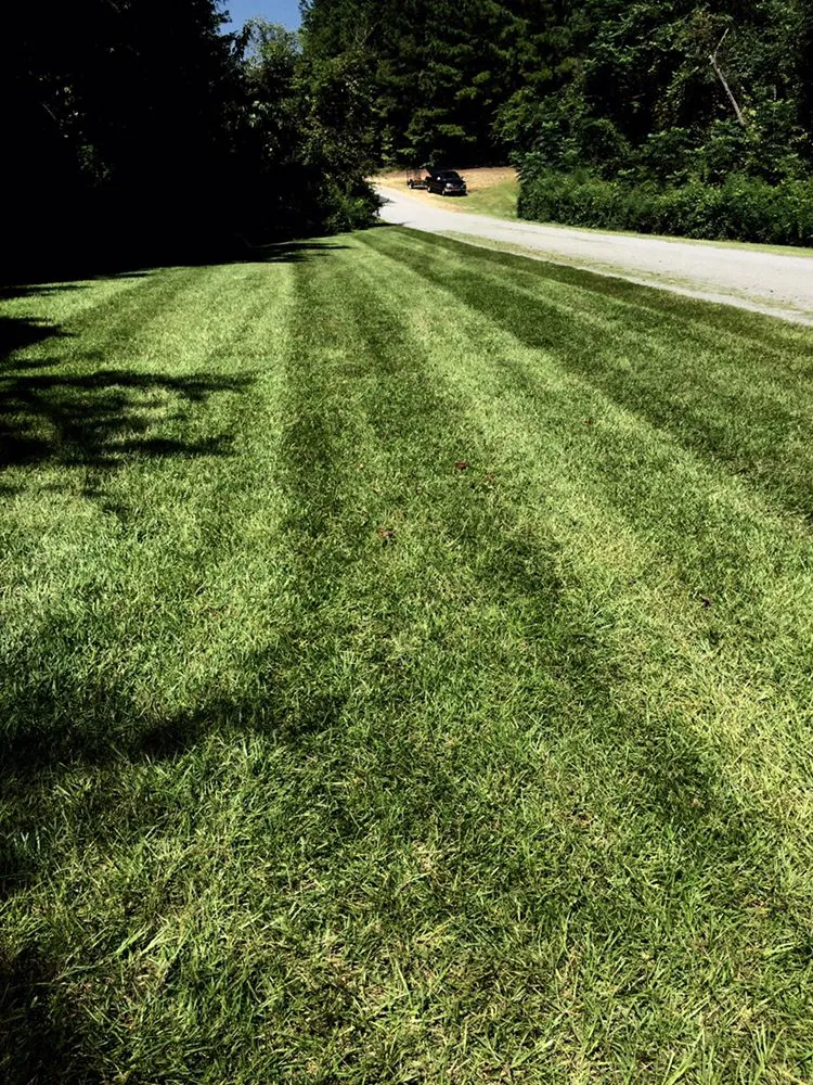 Professional residential landscaping in Rincon, GA by Dedicated Lawn Care