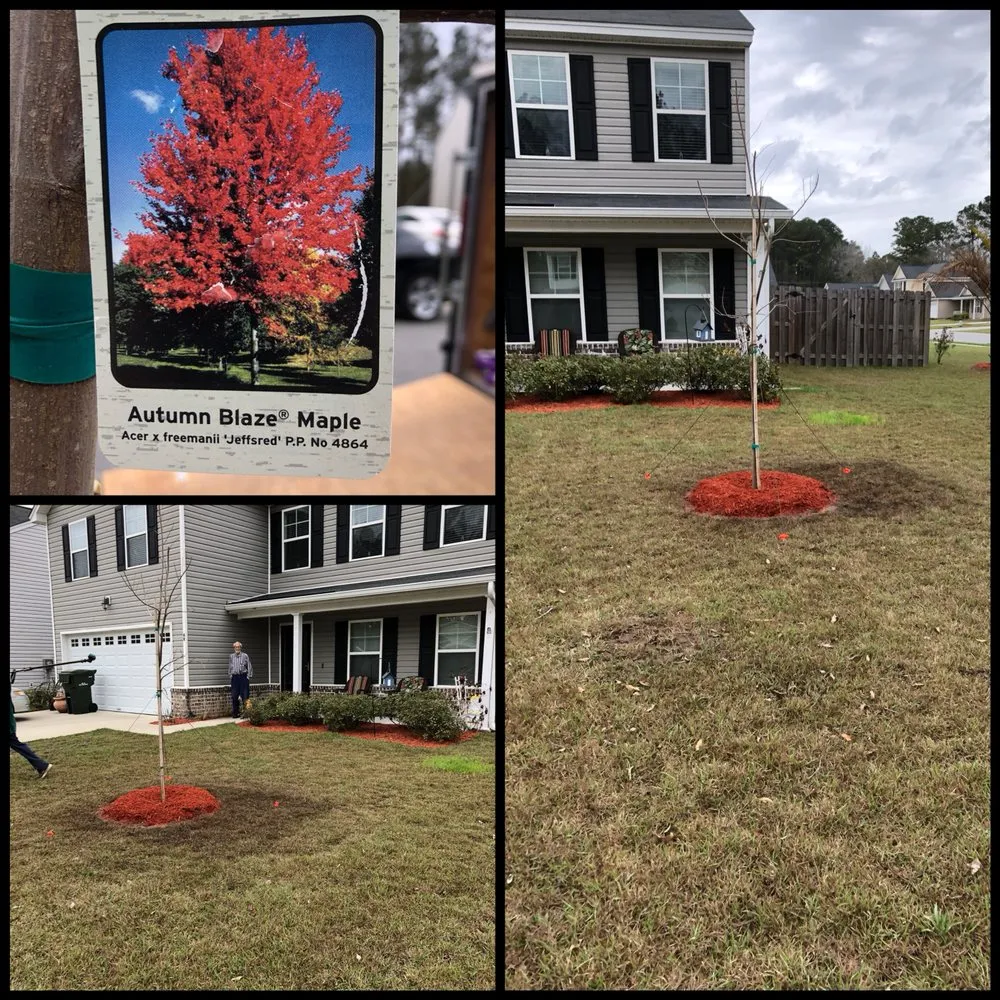 Custom lawn mowing service in Rincon, GA - Dedicated Lawn Care