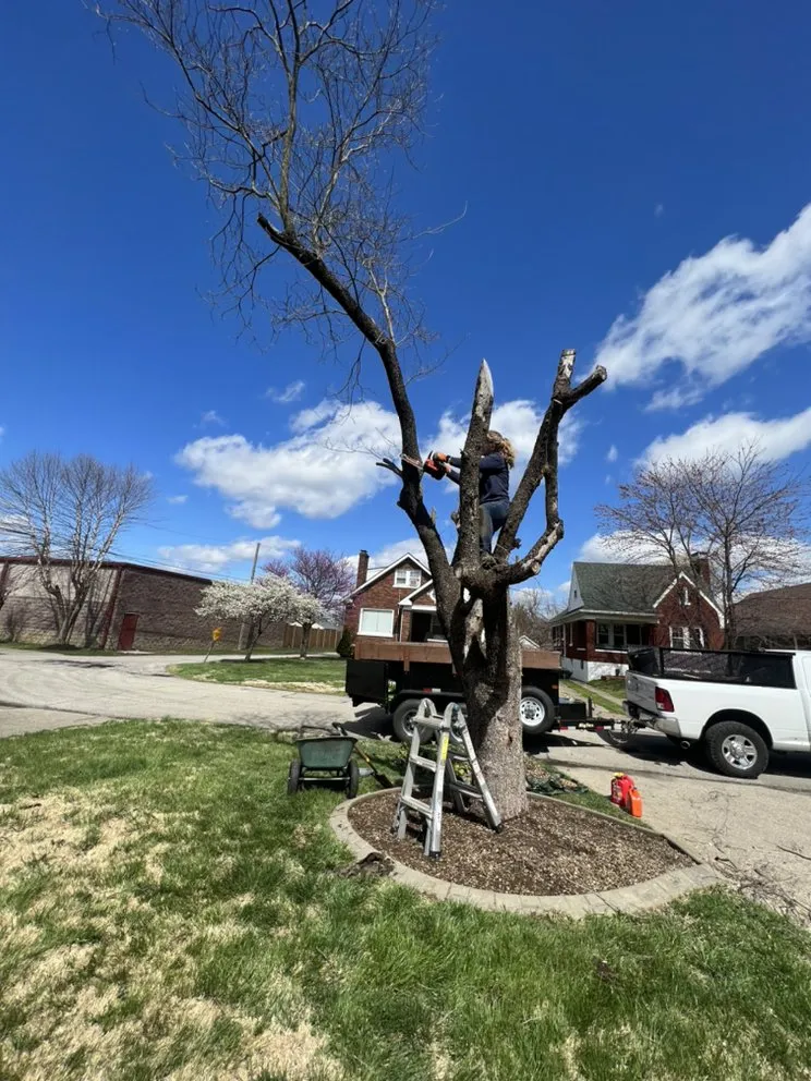 Custom landscape installation near you across Crestwood, KY - Dedicated Outdoor Services