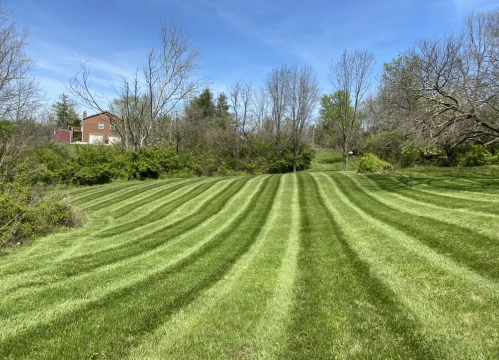 Top-rated residential landscaping experts serving Crestwood, KY - Dedicated Outdoor Services