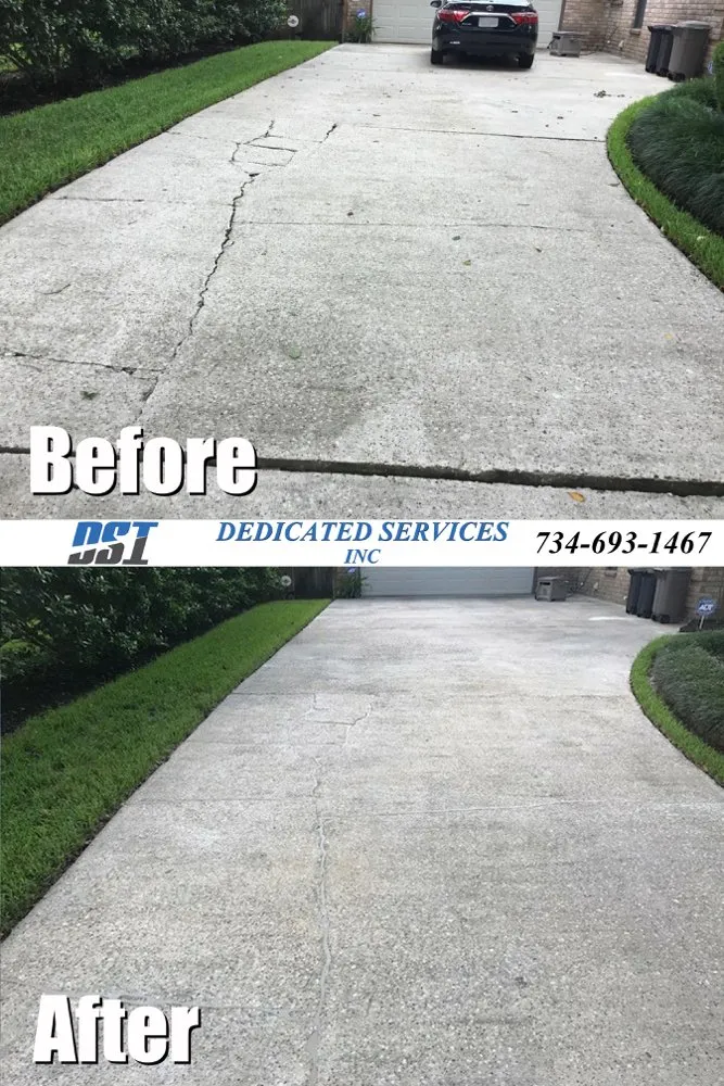 Affordable landscape design for outdoor upgrades across Dundee, MI - Dedicated Services