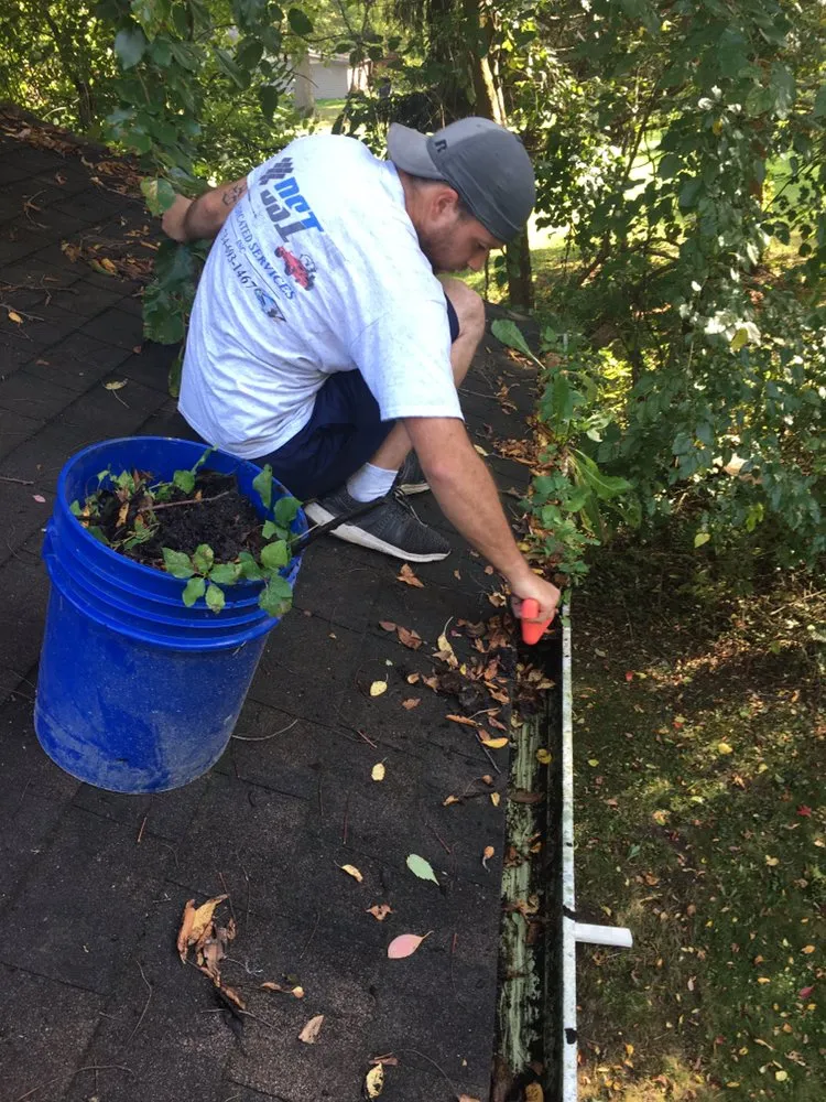 Affordable landscape design in Dundee, MI - Dedicated Services