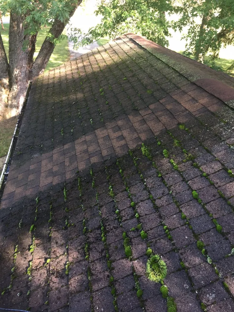 Expert lawn mowing service in Dundee, MI - Dedicated Services