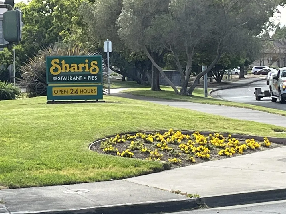 Expert outdoor landscaping for residential properties across Petaluma, CA - Dee Bush Dee Bush