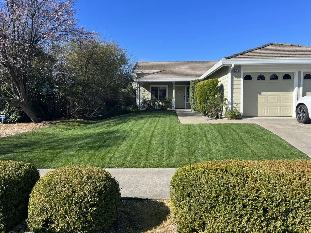 Expert landscape installation experts serving Petaluma, CA - Dee Bush Dee Bush