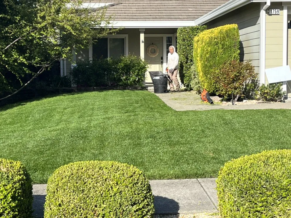 Reliable yard maintenance in Petaluma, CA - Dee Bush Dee Bush