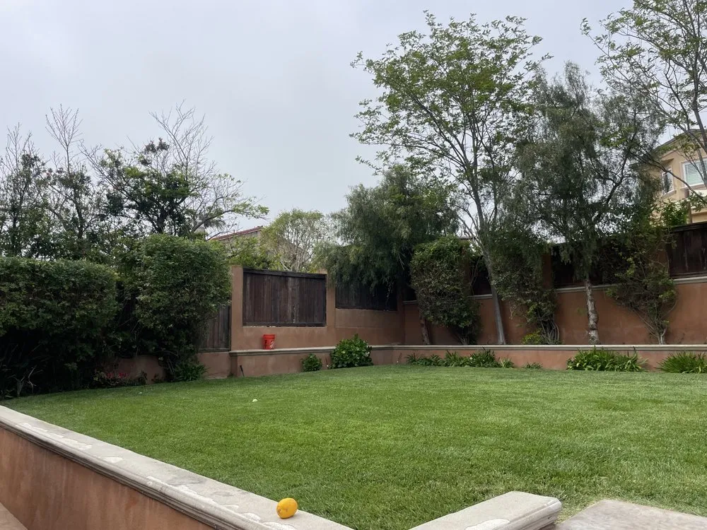 Reliable lawn care service experts serving Los Angeles, CA - Dee Elite Irrigation and Maintenance