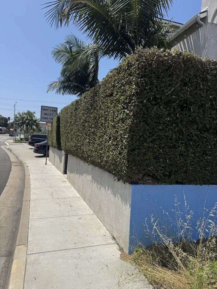 Professional landscape design experts serving Los Angeles, CA - Dee Elite Irrigation and Maintenance