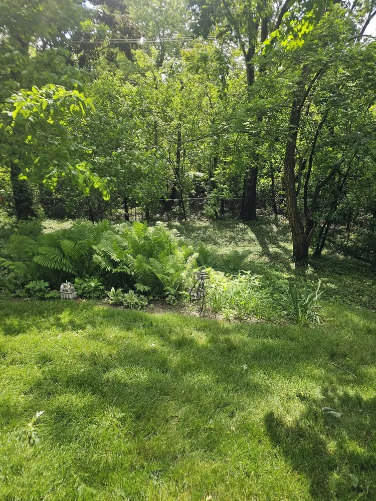 Professional yard cleanup service near you in Redford, MI by Dee Nice Lawn Service